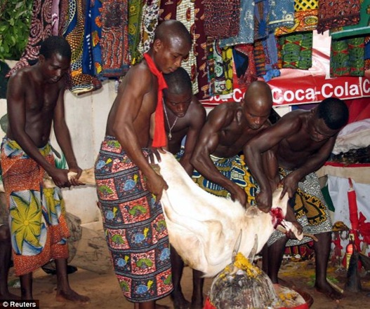 Togolese voodoo followers slaughter a ram during a ritual to welcome the new voodoo chief priest in 2006