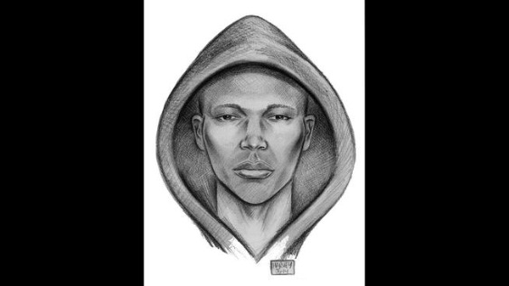 Police released this sketch of a suspect in an attempted rape on a subway train.