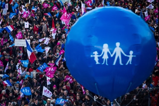 lmpt-protests-france-20140202-epa-sml