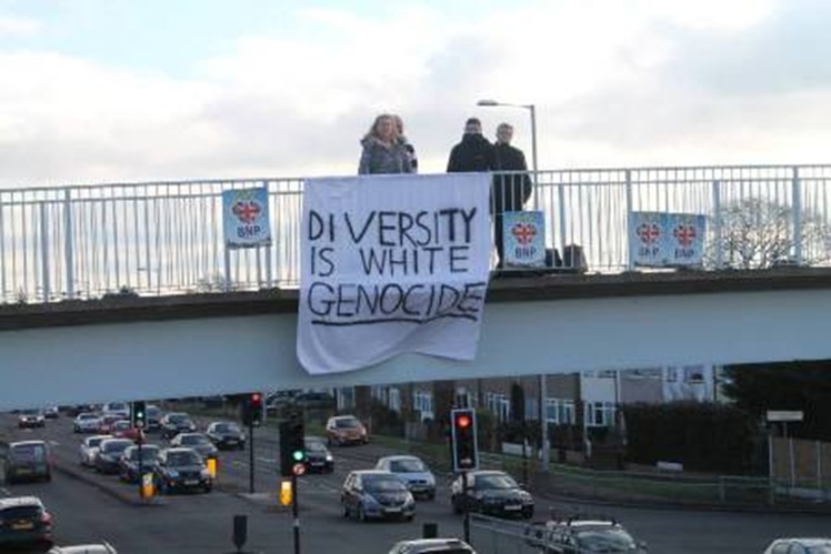 bnp_diversity_demo