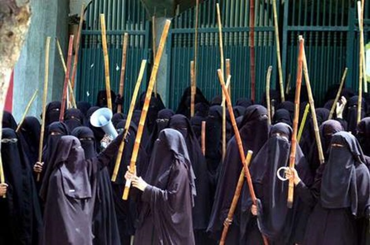 burka-sticks