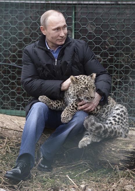 cms-140204-putin-leopard-vrt-1030a_bdf005ee30445bdd912e4f56153fa9dc