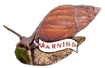 wanted-snail-work8