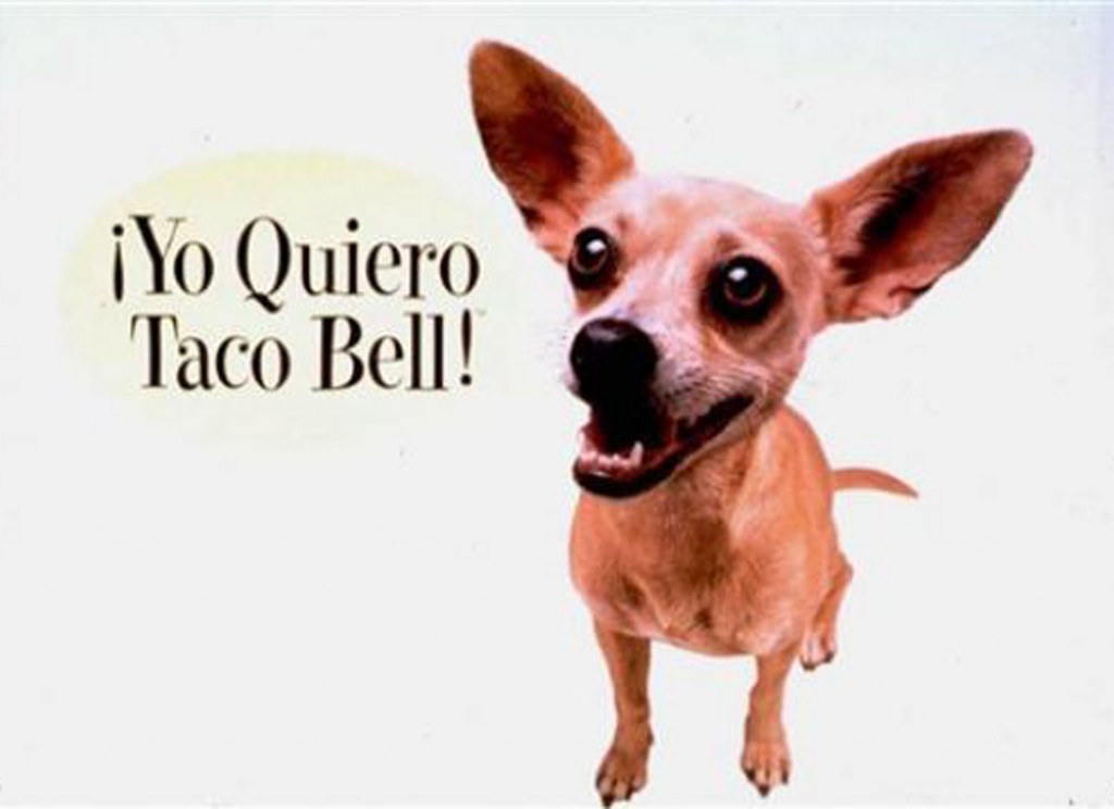 The Blacks have a pro-taco agenda, but are against this cute dog.