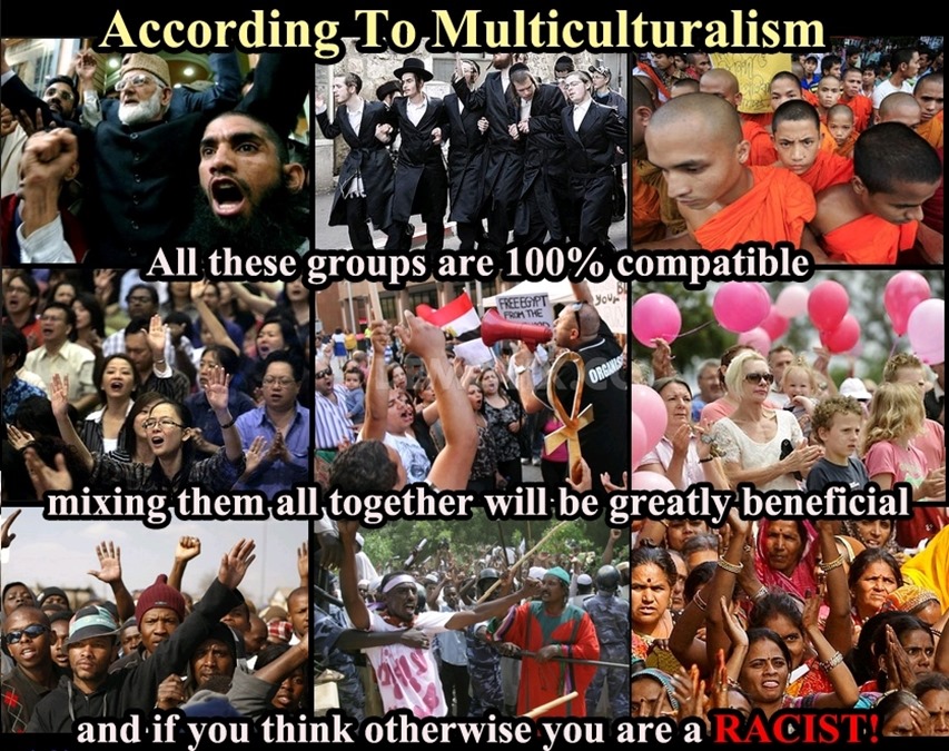 Multiculturalism is good goyim. culturaly enriched D_2ef560_4803742 (2)