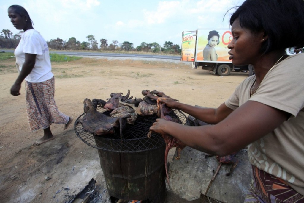 The economy of Liberia is largely based on BBQ bat stands and murder for hire.