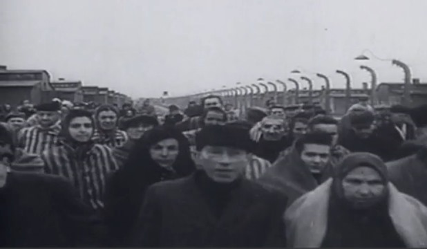 Auschwitz-11