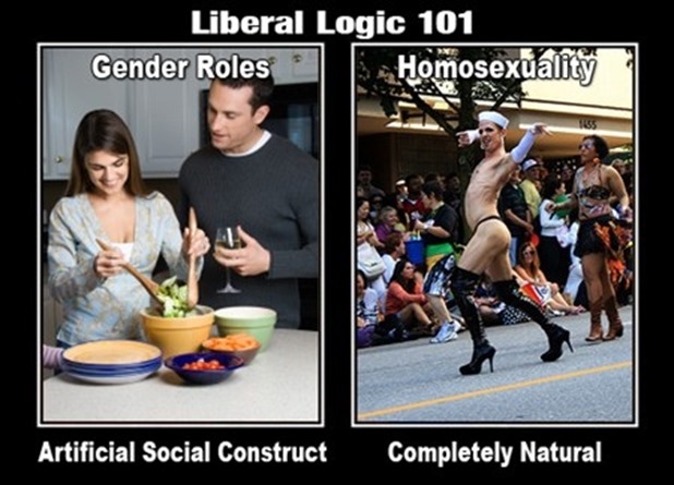 liberal-logic-101-63