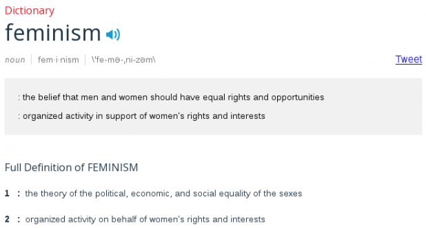 definition feminism