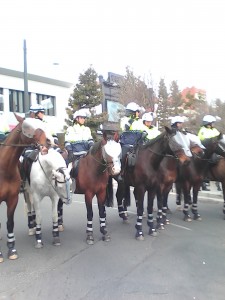 Pigs can't fly but they can sure ride horses. And these pigs defended flag burners