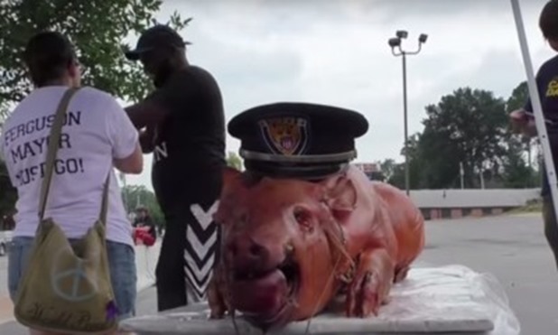 pig-protest-400x240