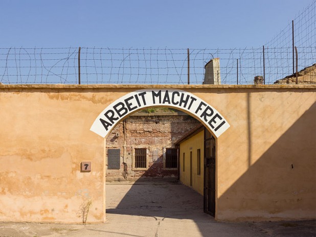     Terezin: A new home for our new friends!