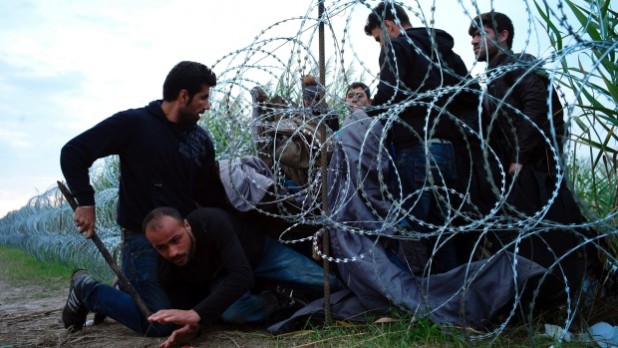 This fence could not keep out an autistic goat, Orban!