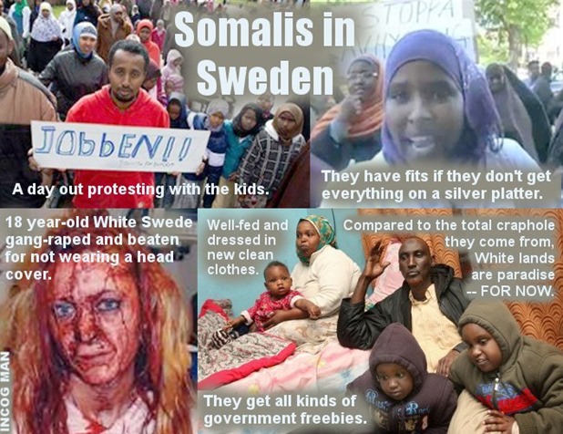 SWEDEN-SOMALIS-MONTAGE-3