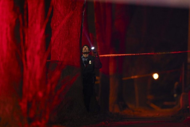 Cop looks for White supremacists hiding in the trees late Tuesday night. 