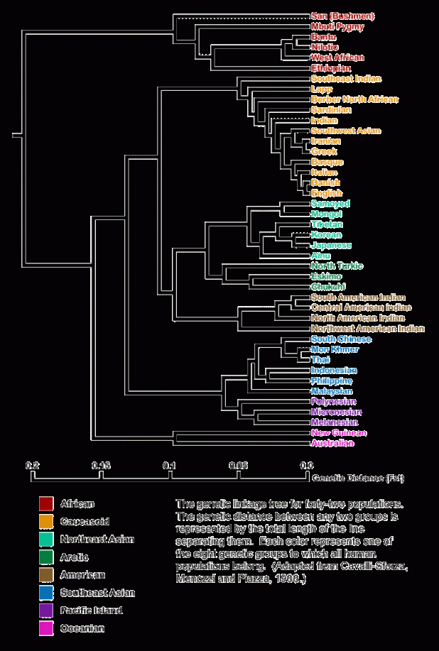 DNA_tree