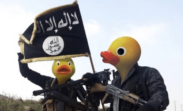 isis ducks