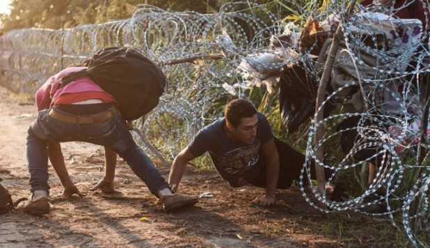 crawl-under-fence