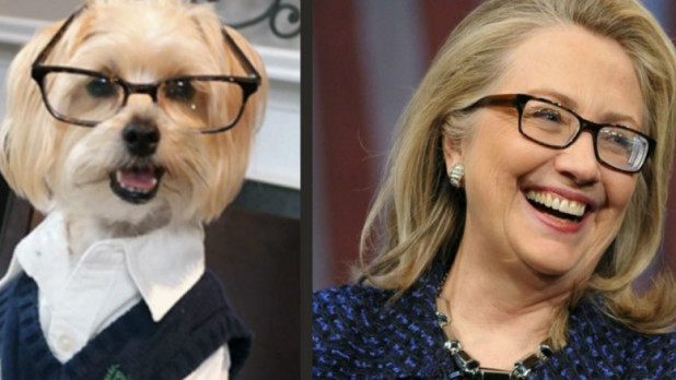 Hillary-Clinton-Dog-777x437