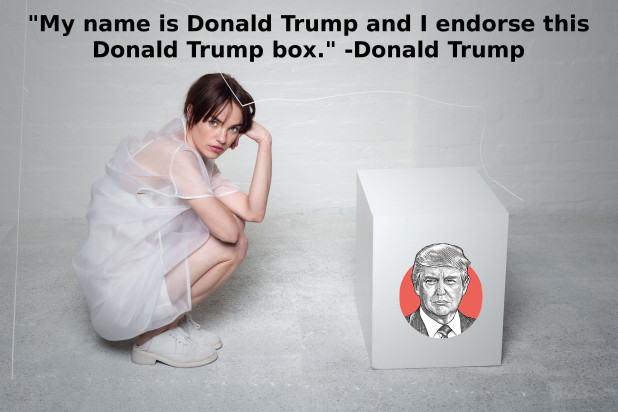 box of donald