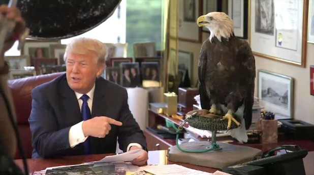 donald-trump-bald-eagle-attack