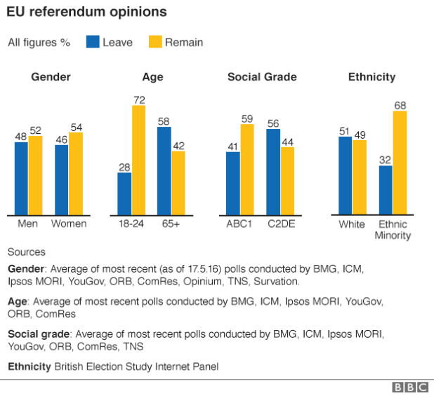 _89749378_eu_referendum_opinions