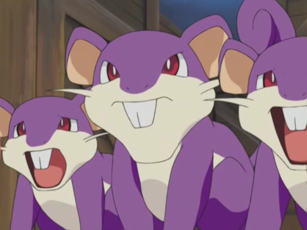 Rattata_JE158