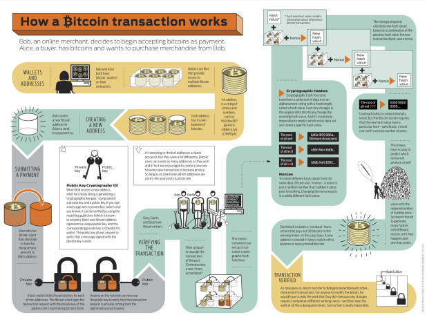 bitcoin-infographic_5029189c9cbaf
