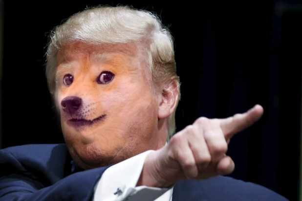 doge_trump_by_sillysmartandsuper-d9nhbo0