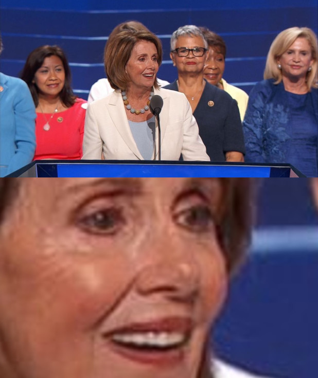 nancy pelosi stupid old bitch