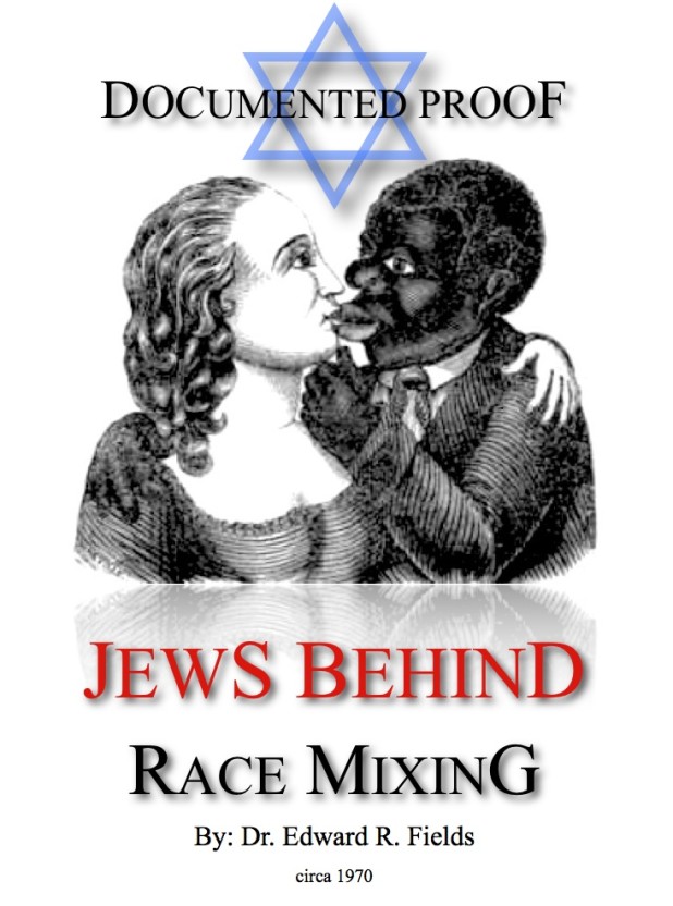 jews-behind-race-mixing-cover