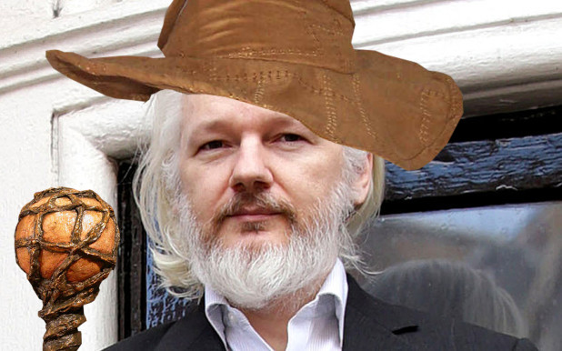 julian assange albino wizard