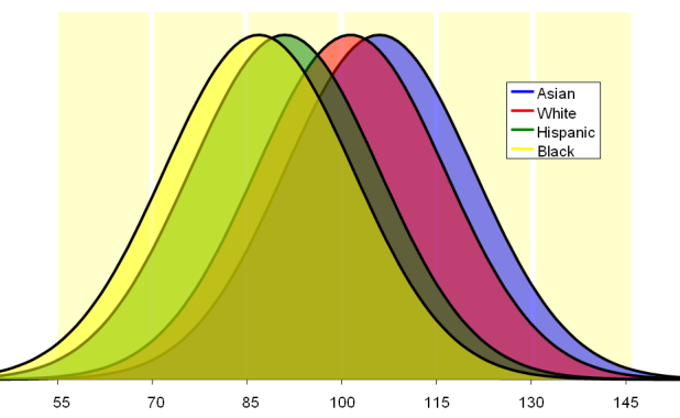 race and iq