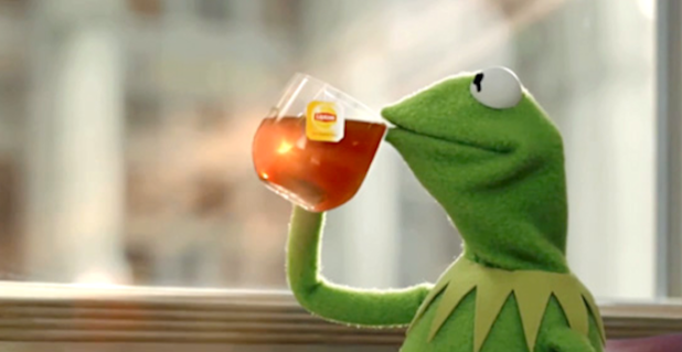 kermit-the-frog-memes-thats-none-of-my-business-tho-what-the-vogue-679x350