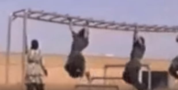 al-qaeda-monkey-bars