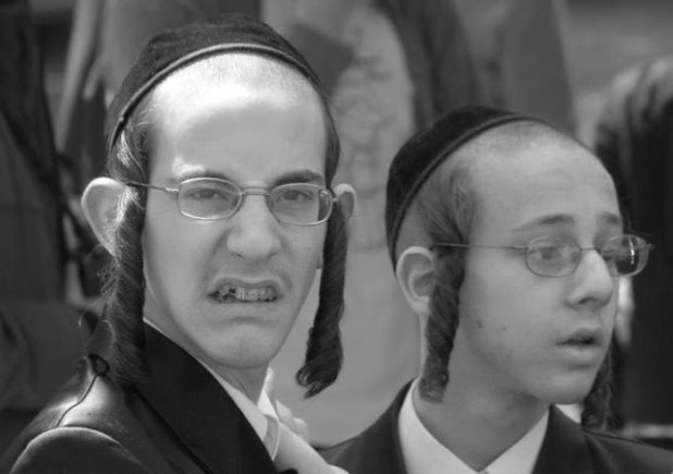 charedim-2