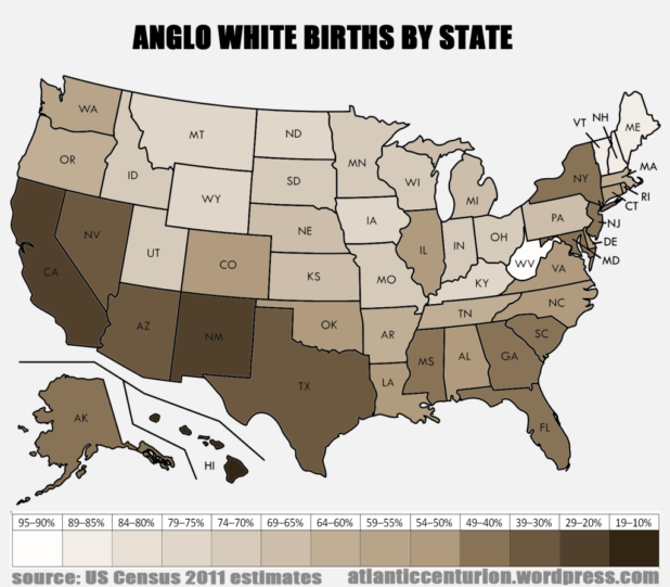 map-white-births-v1