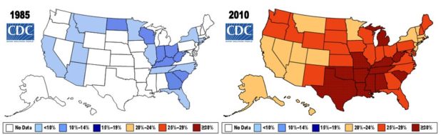 obesity_epidemic