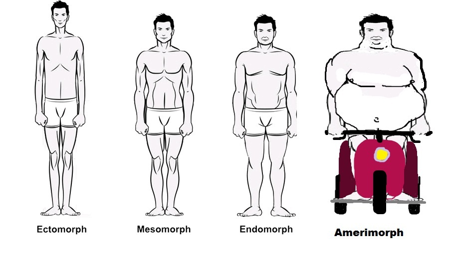 Мезоморф как определить мужчина