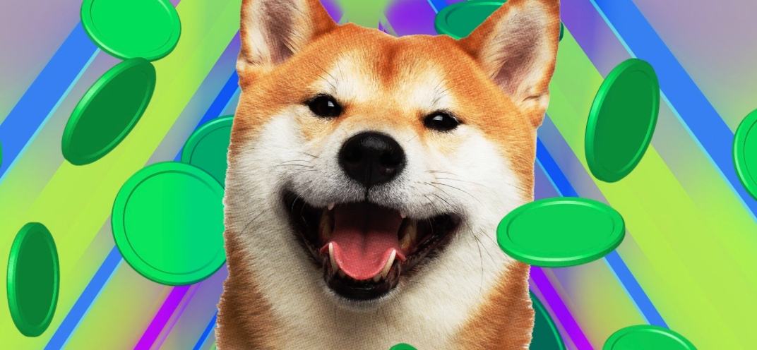 $8,000 Invested in Shib Shitcoin in August 2020 Now Worth $5.7 Billion