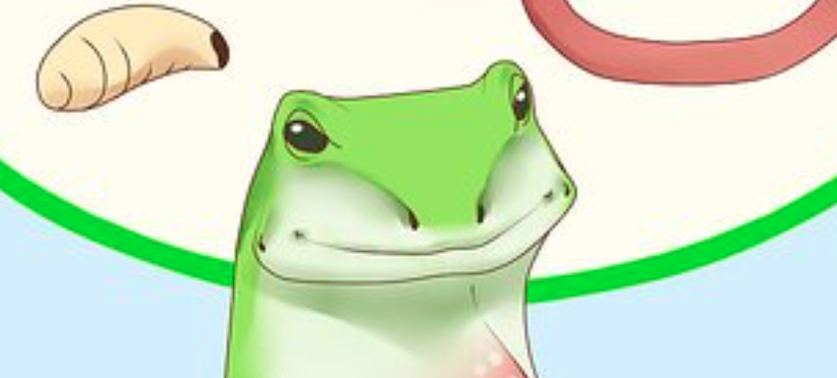 Ladies and Gentlemen: David Icke