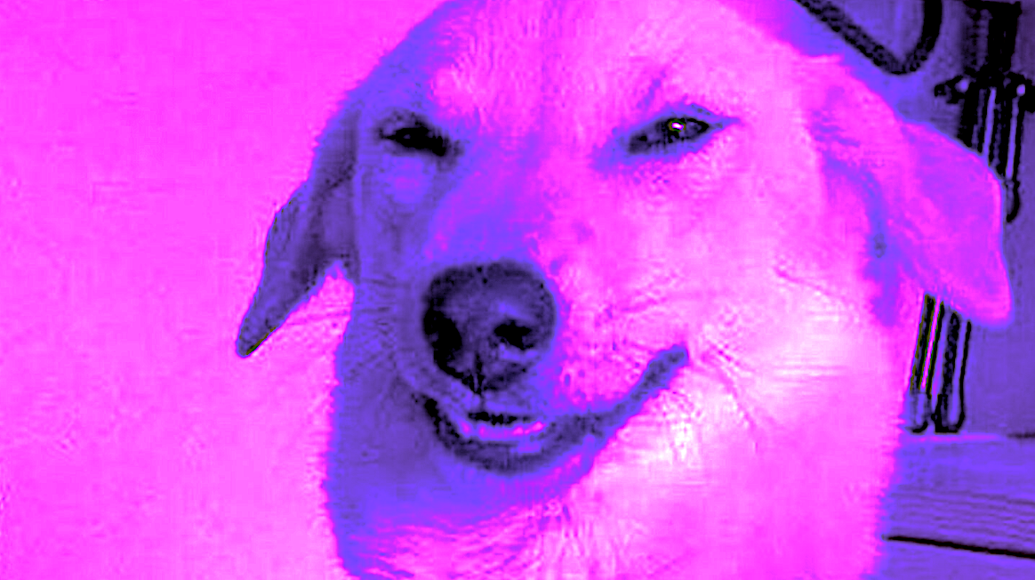 Midweek Meme Madness: Praying for Nuclear Fire on the Eve of More Faggot Bullshit