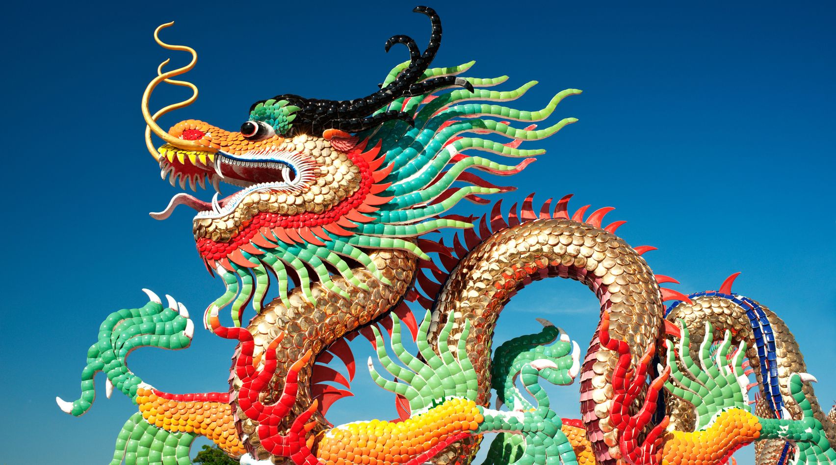 Daily Stormer Now Live on DailyStormer.cn – Spread the Word!