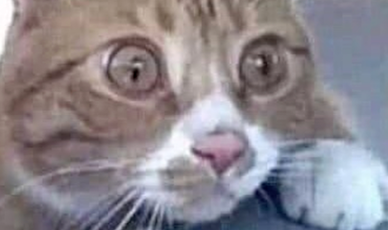 Memetic Monday: Put Your War Face On, Boy!