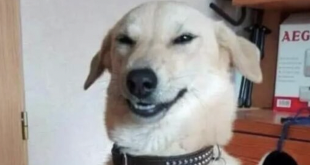 Memetic Friday: Sunday Edition: Extra Memes