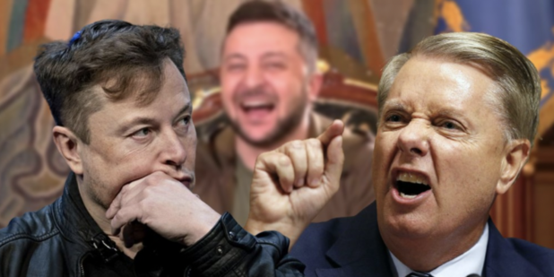 lindsey graham elon musk