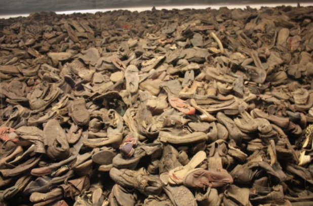 En réponse aux plaintes concernant ses pratiques commerciales sales, Ben Shapiro a commencé à se plaindre des tas de chaussures pendant l'Holocauste.  Plus précisément, il a dit "mon tas de chaussures, goyim" puis a commencé à siffler.