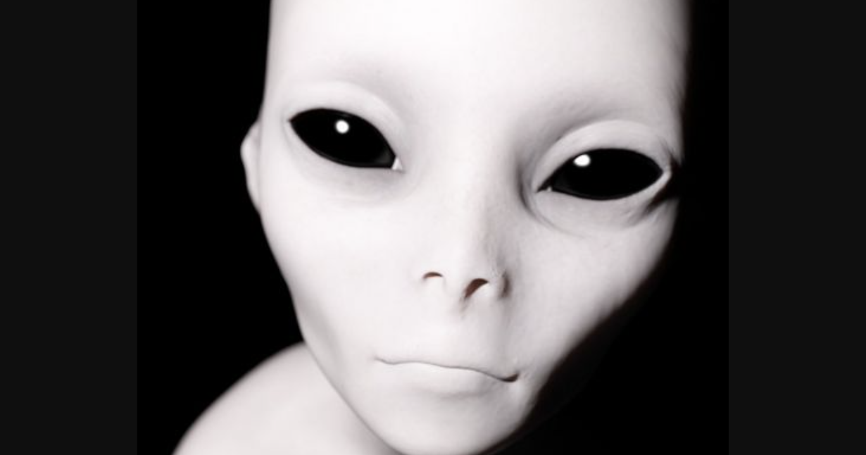 Elon Assures Us He is Friends with These Aliens