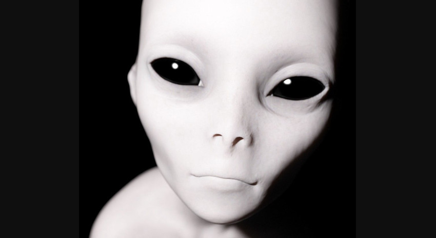 Elon Smugly Mocks Anti-White Faggot Marriage Promoter for His Stupid Belief in Space Aliens