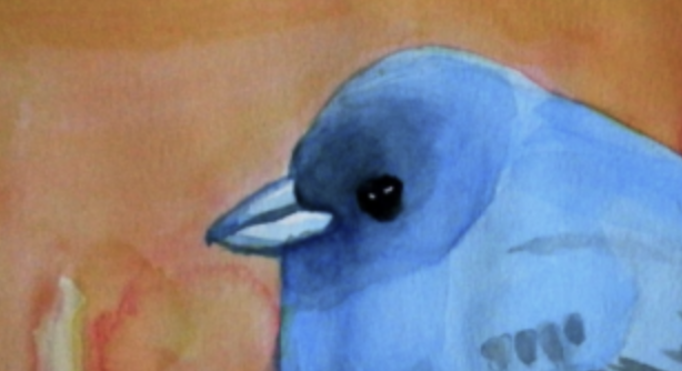 Elon Says He’s Going to Sue Zuck Over Twitter Rip-Off Site